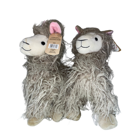 Llama